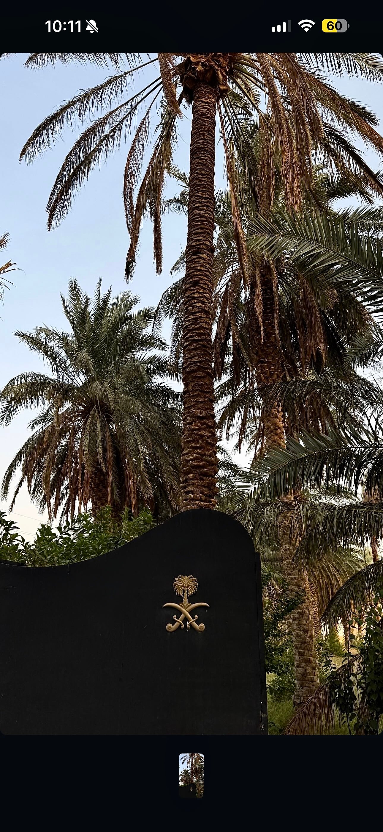 هيا محمد
