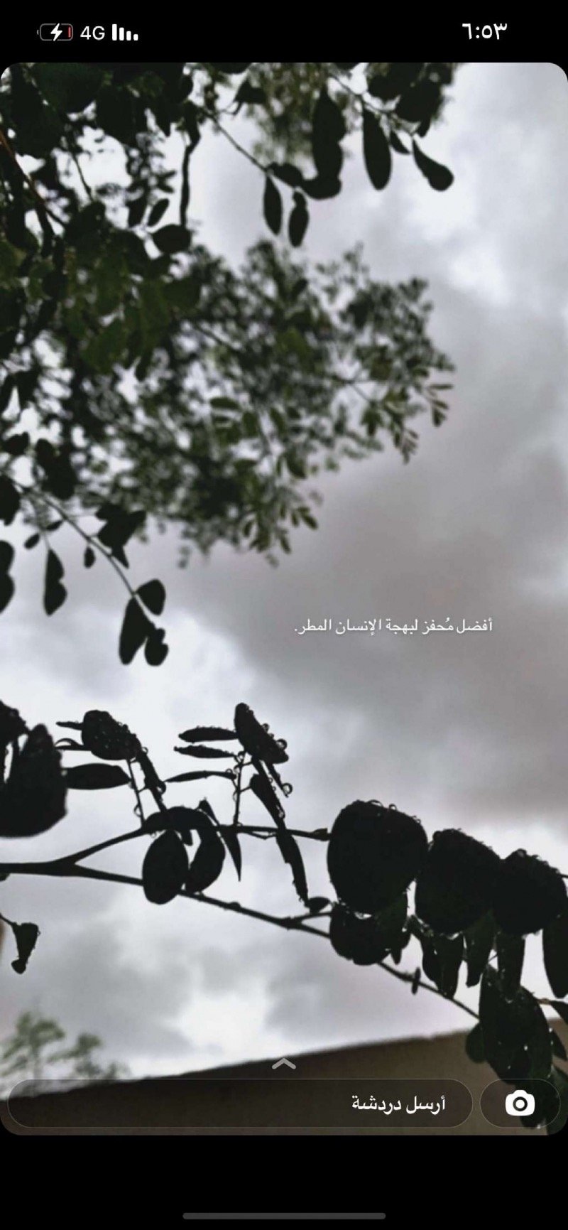 شاديه العتيبي