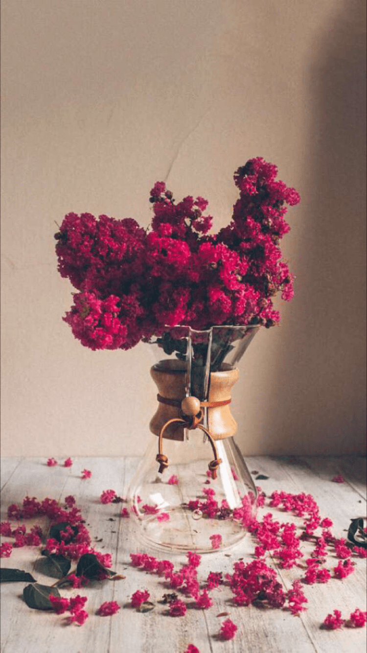 شيخه المطيري