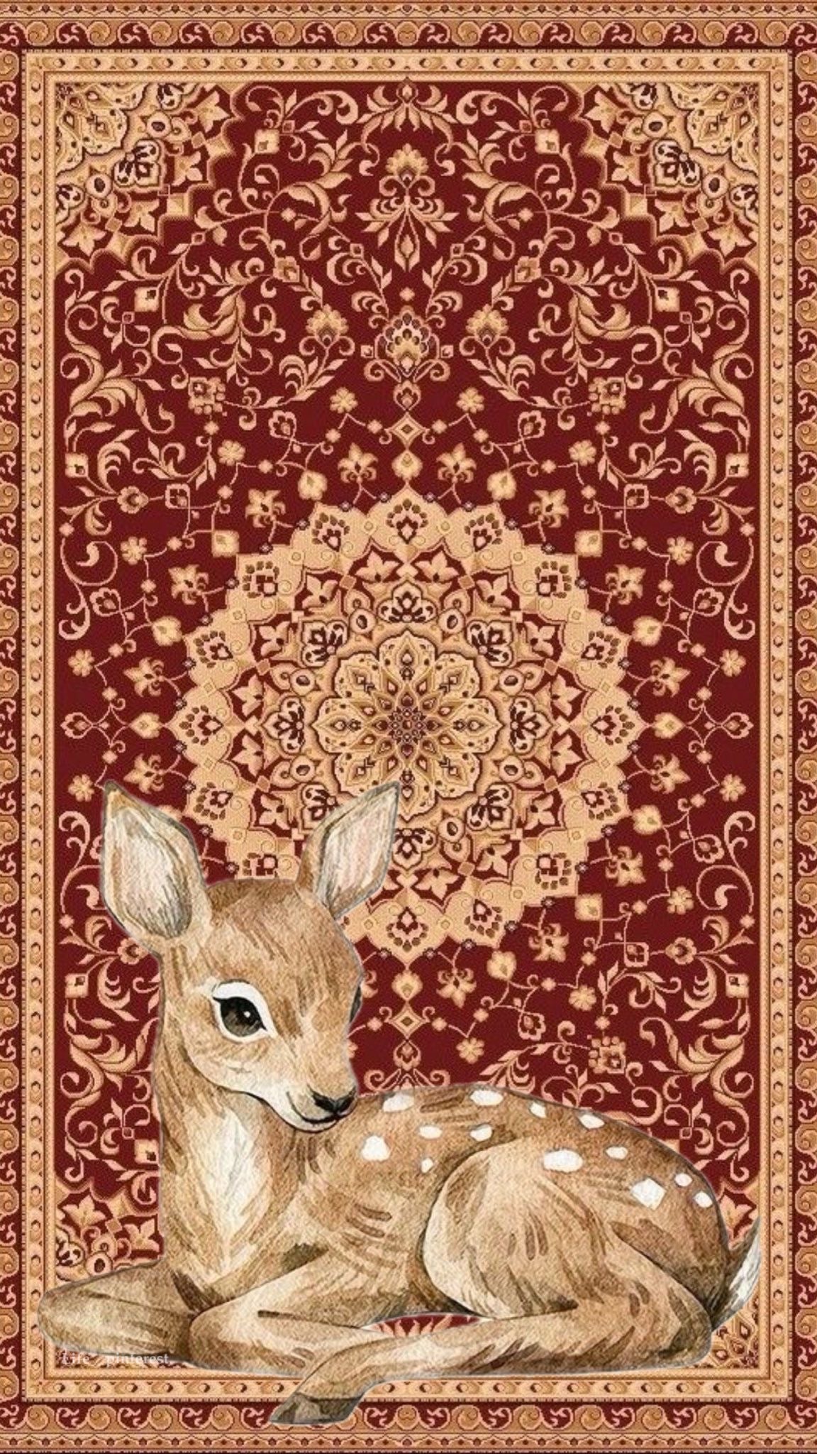 Shahad Ali