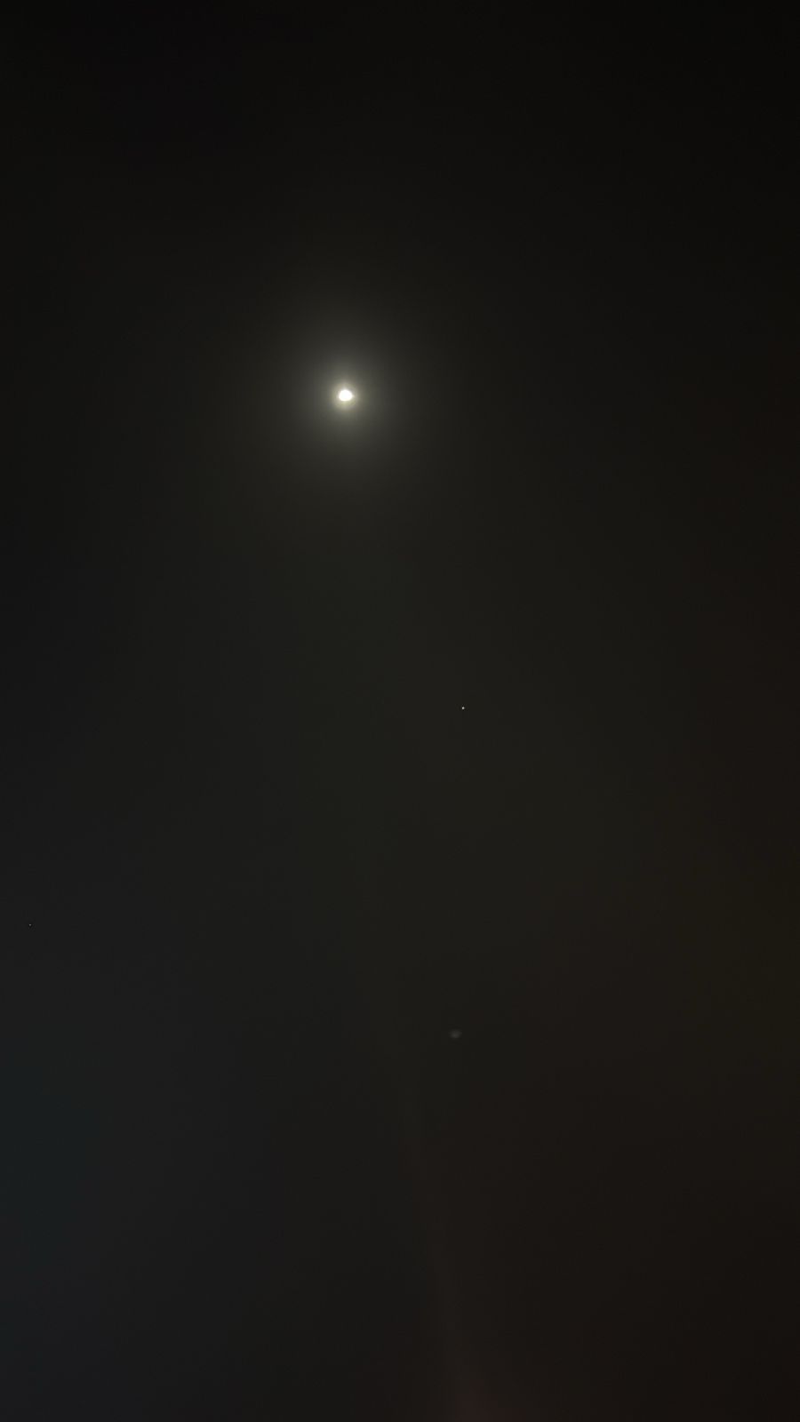 ابو هلي التليدي