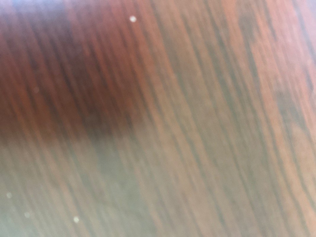 بندر ا العتيبي