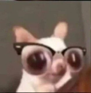 عائشة الشهراني