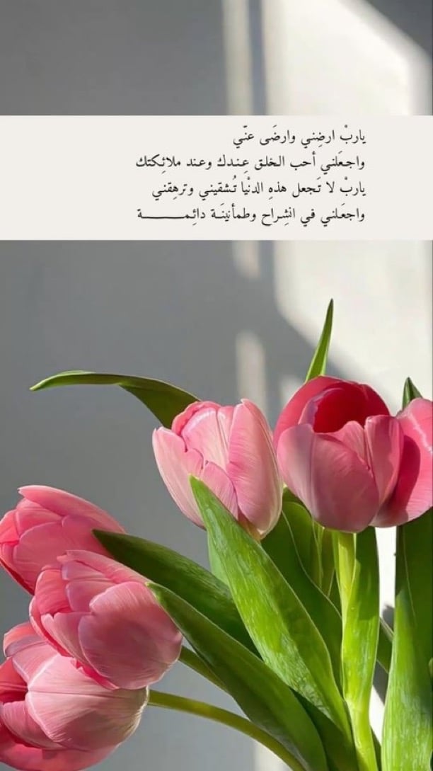 ام هذال القارحي