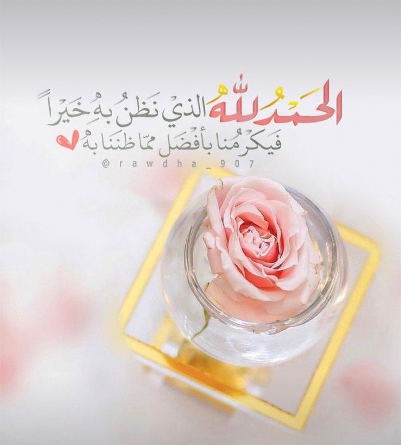 مروه مرزا