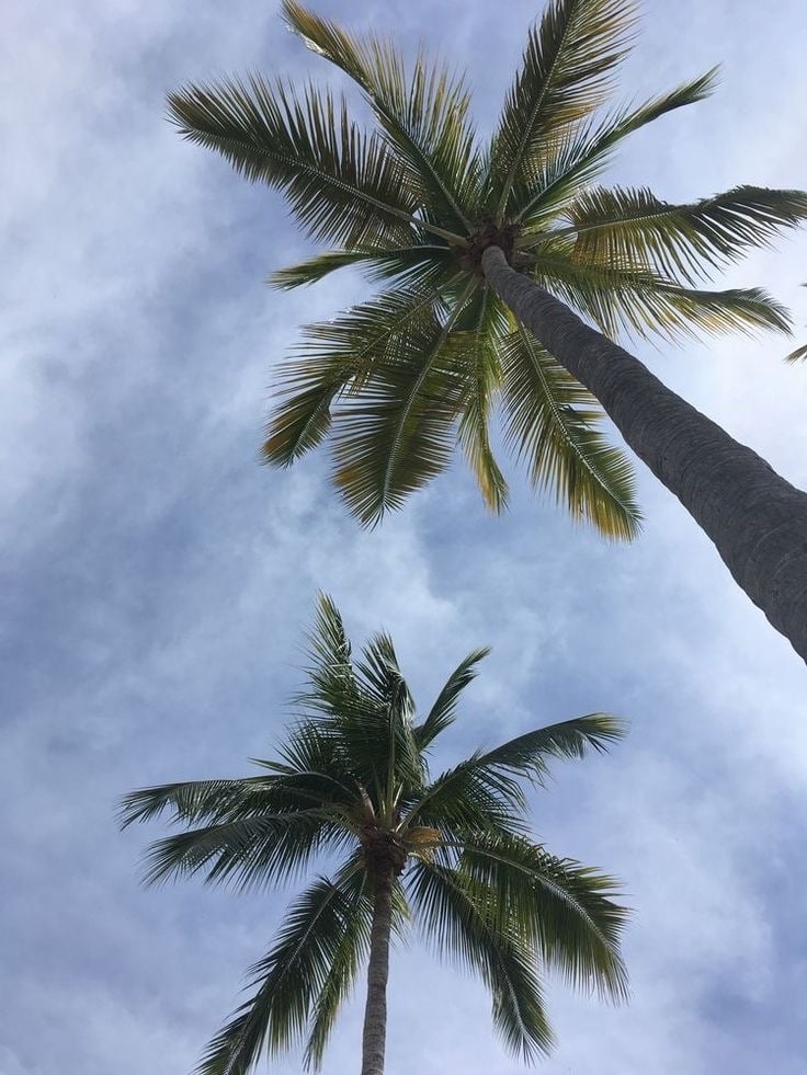 لمى عبدالله