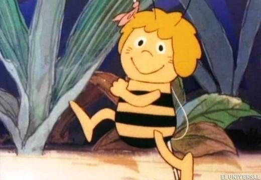 رانيا الشرقاوي