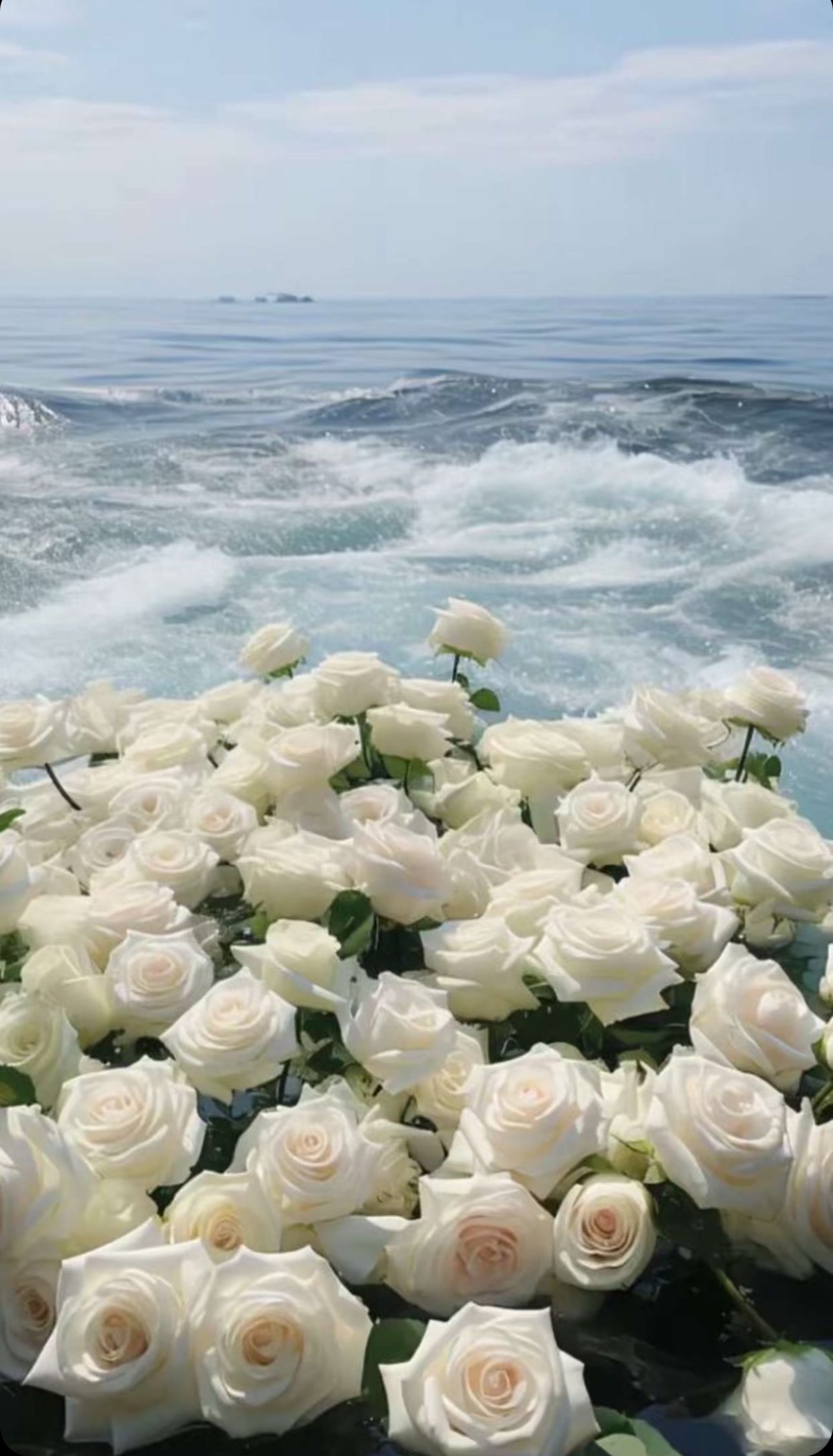 نجلاء العتيبي