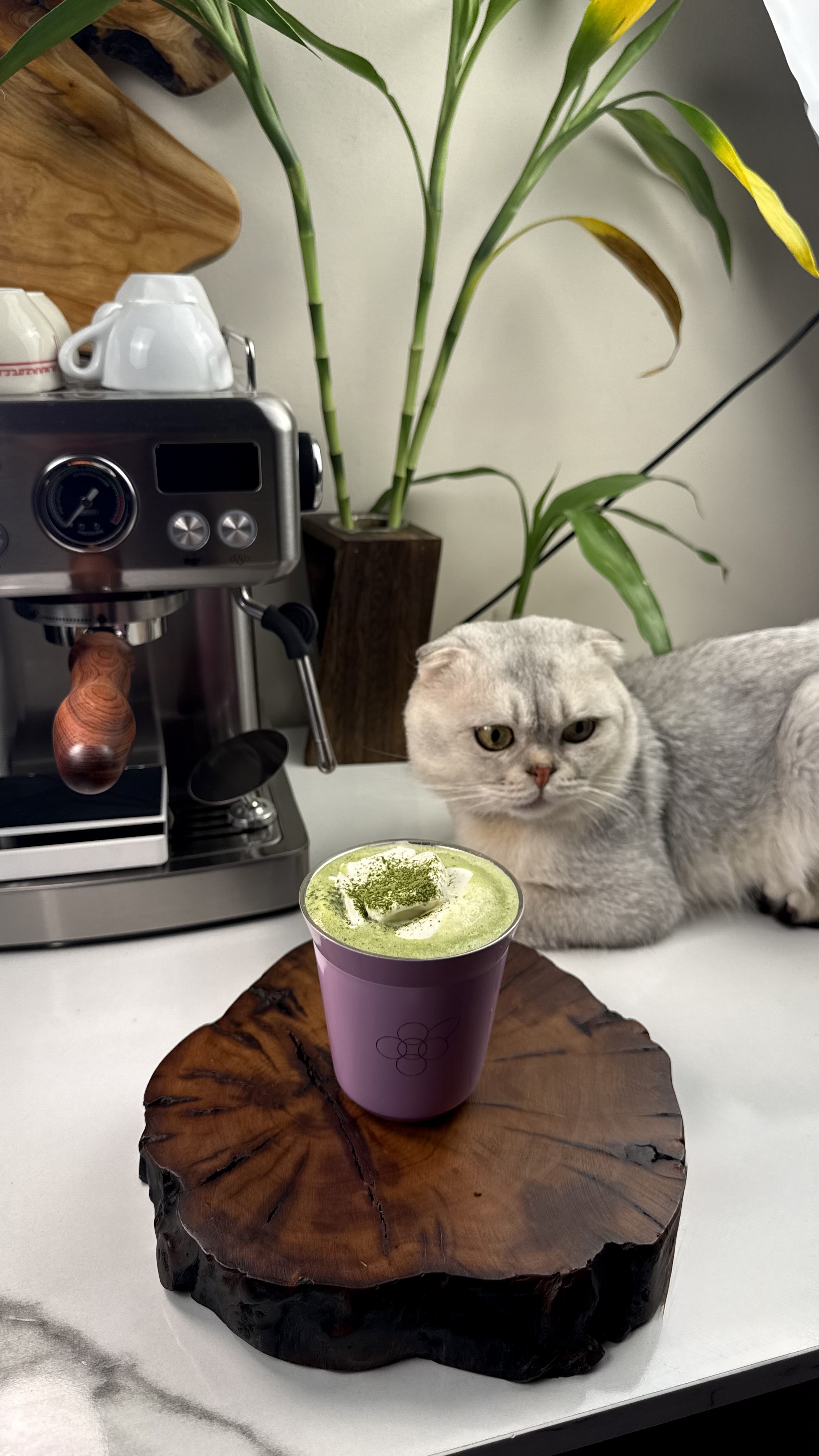 منيره ناصر الدوسري