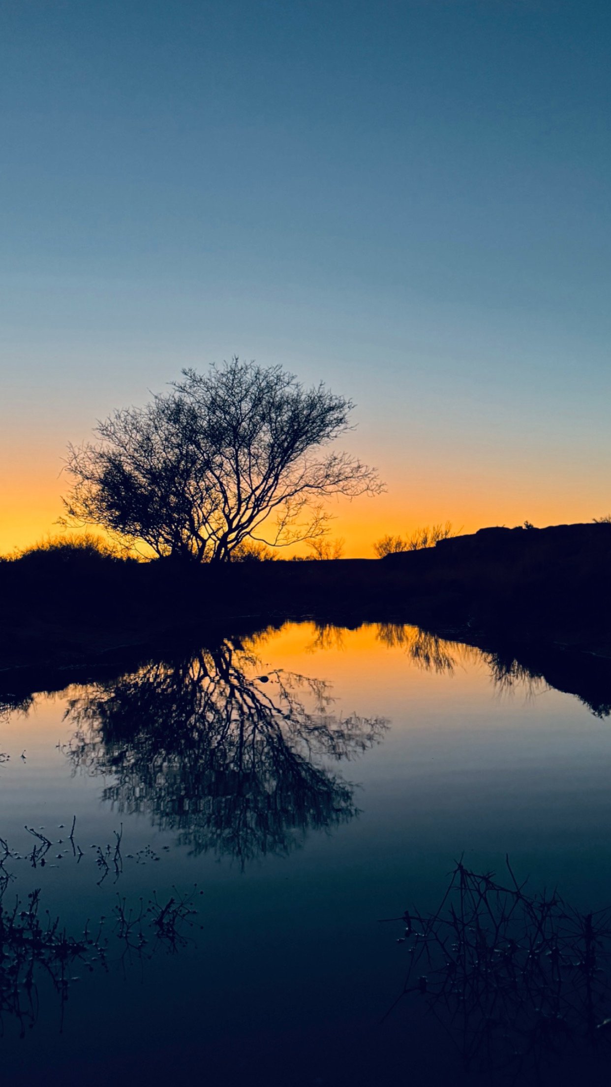 عبدالرحمن الدرويش