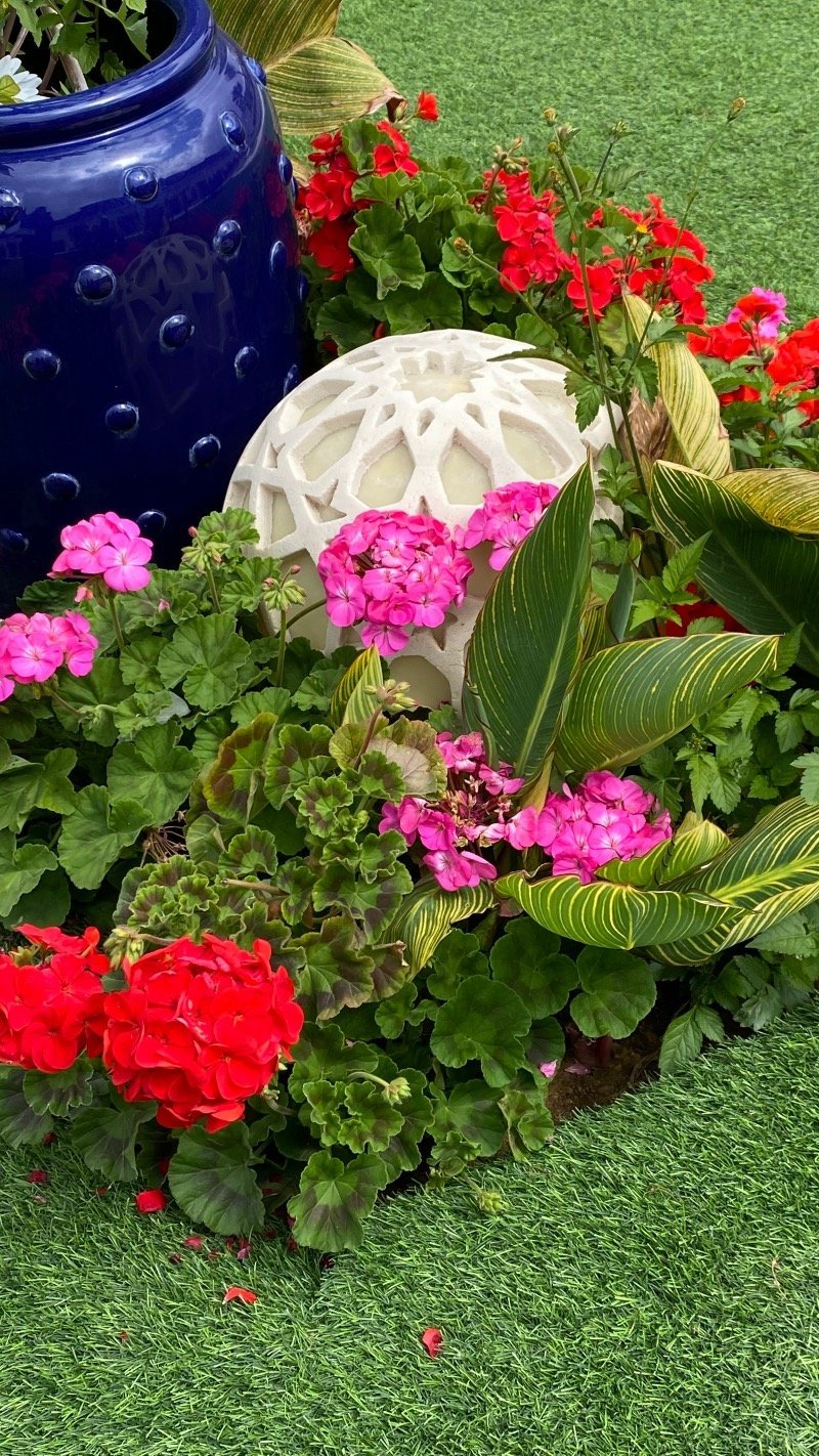 رحمه القرني