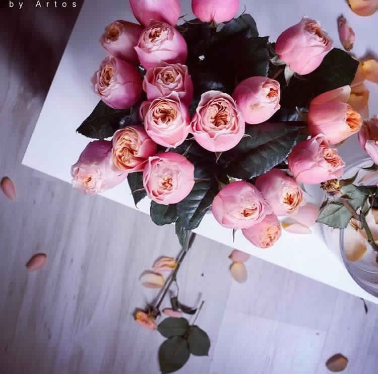 حنان محمد الغامدي