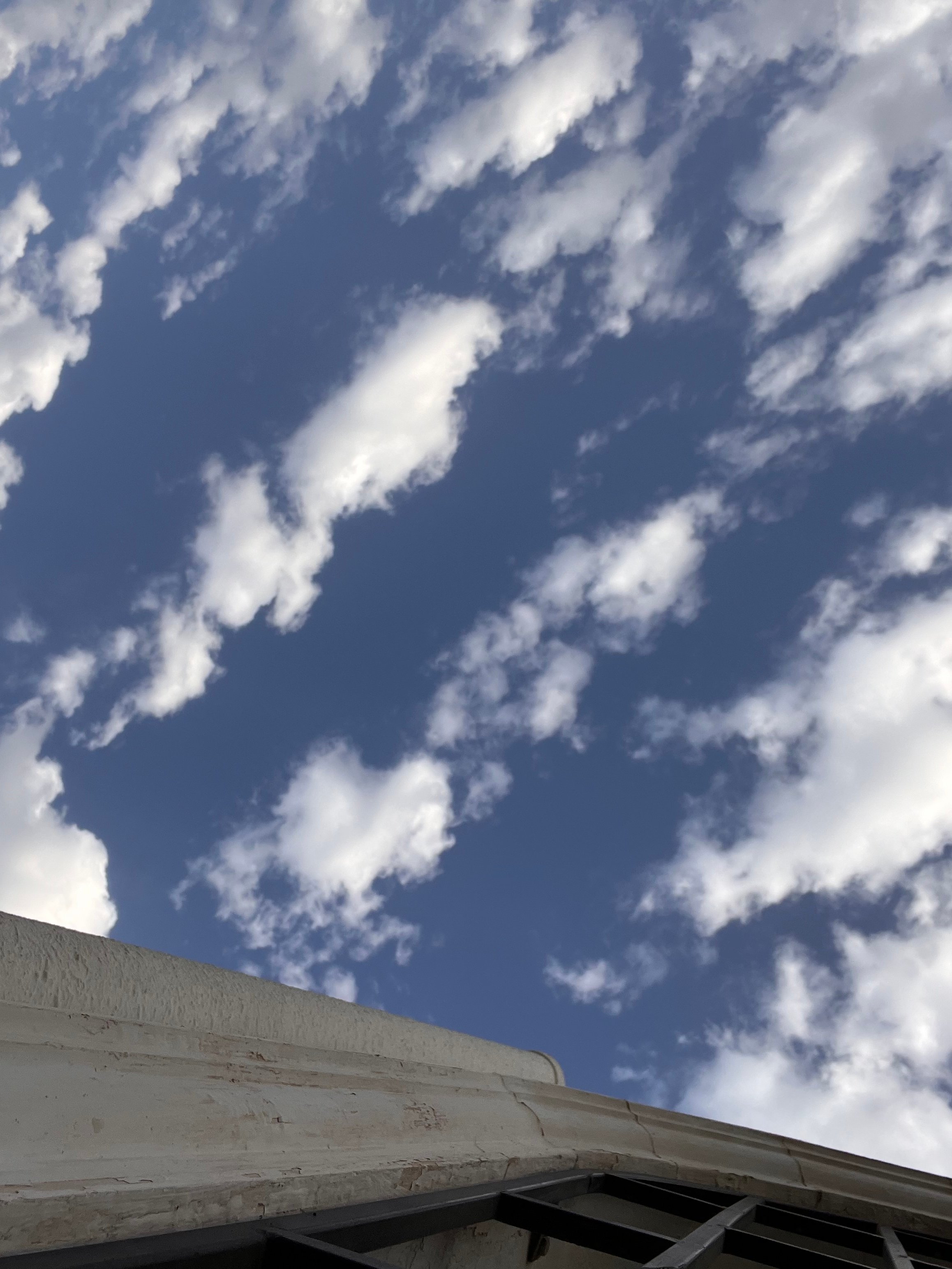 عبدالله اسامه