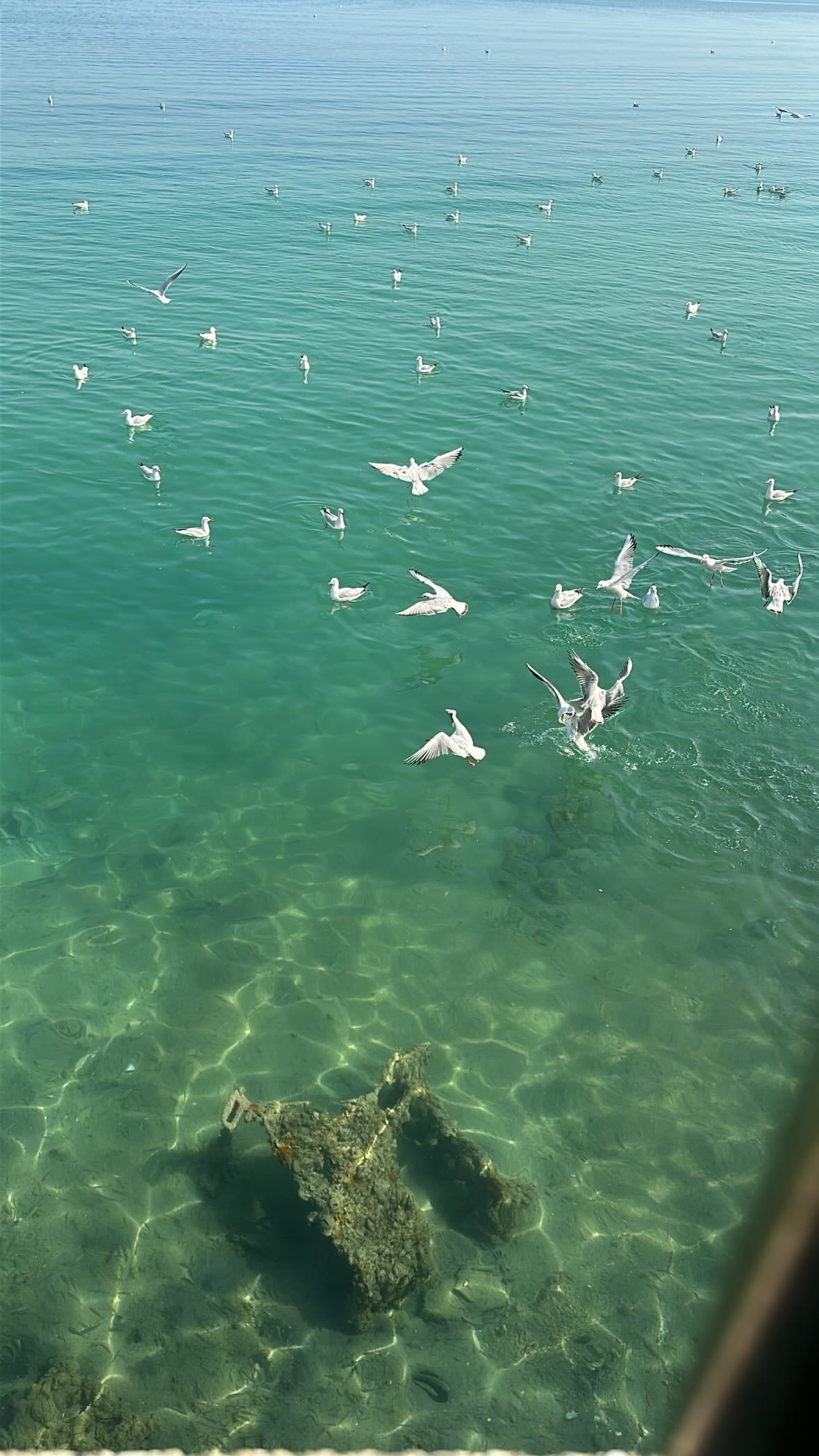 عبدالله الانصاري