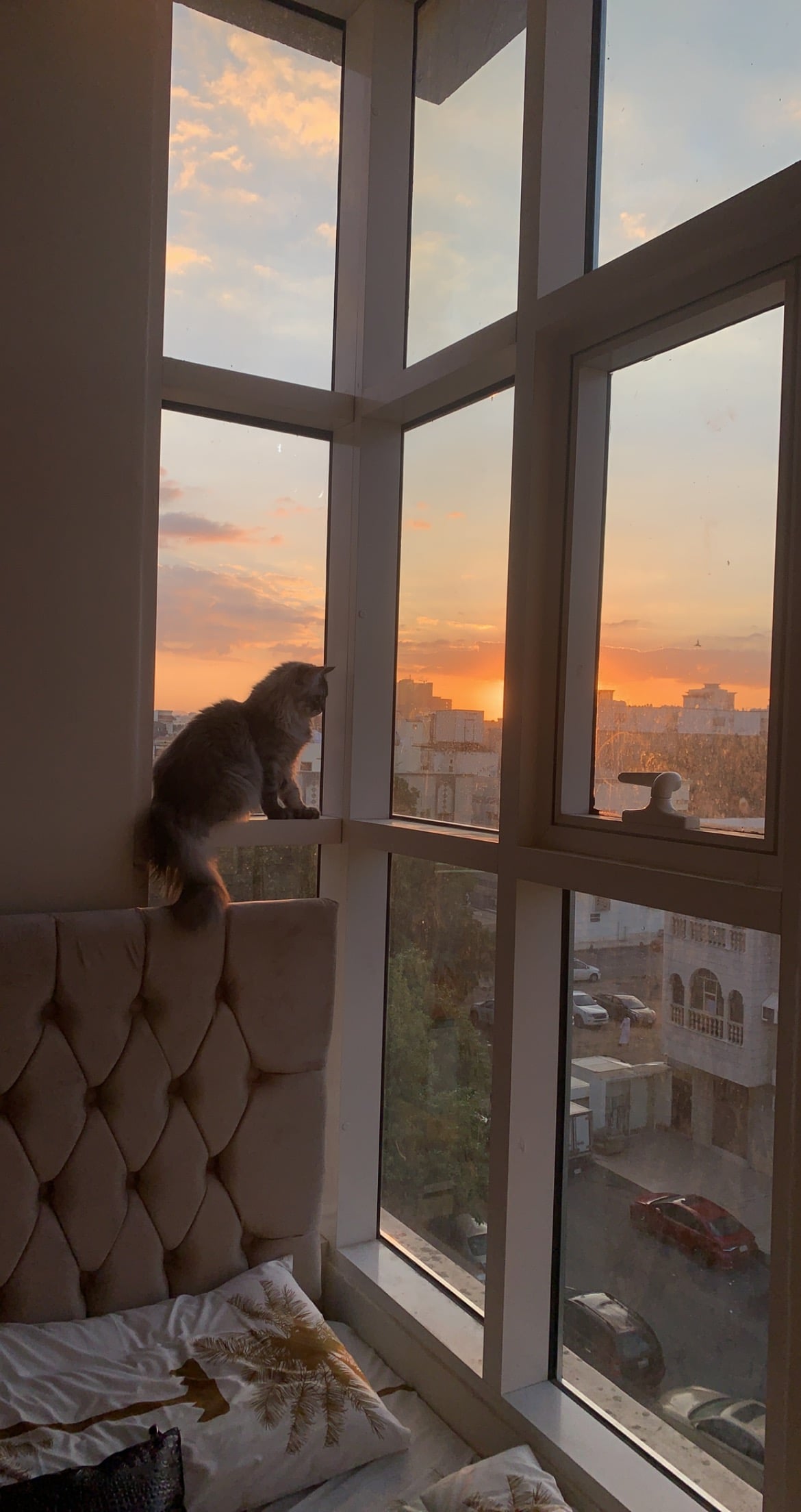خلود نبهان