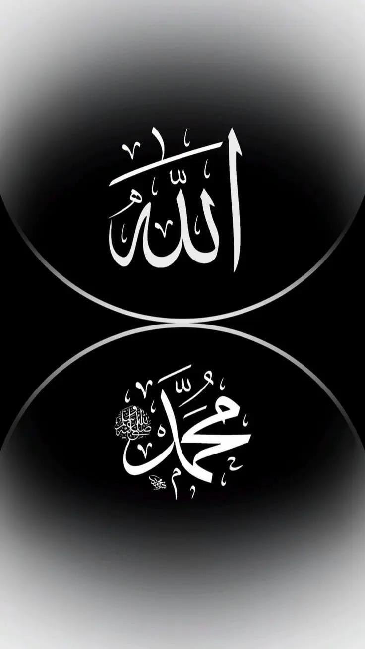 محمود سعيد الاهدل