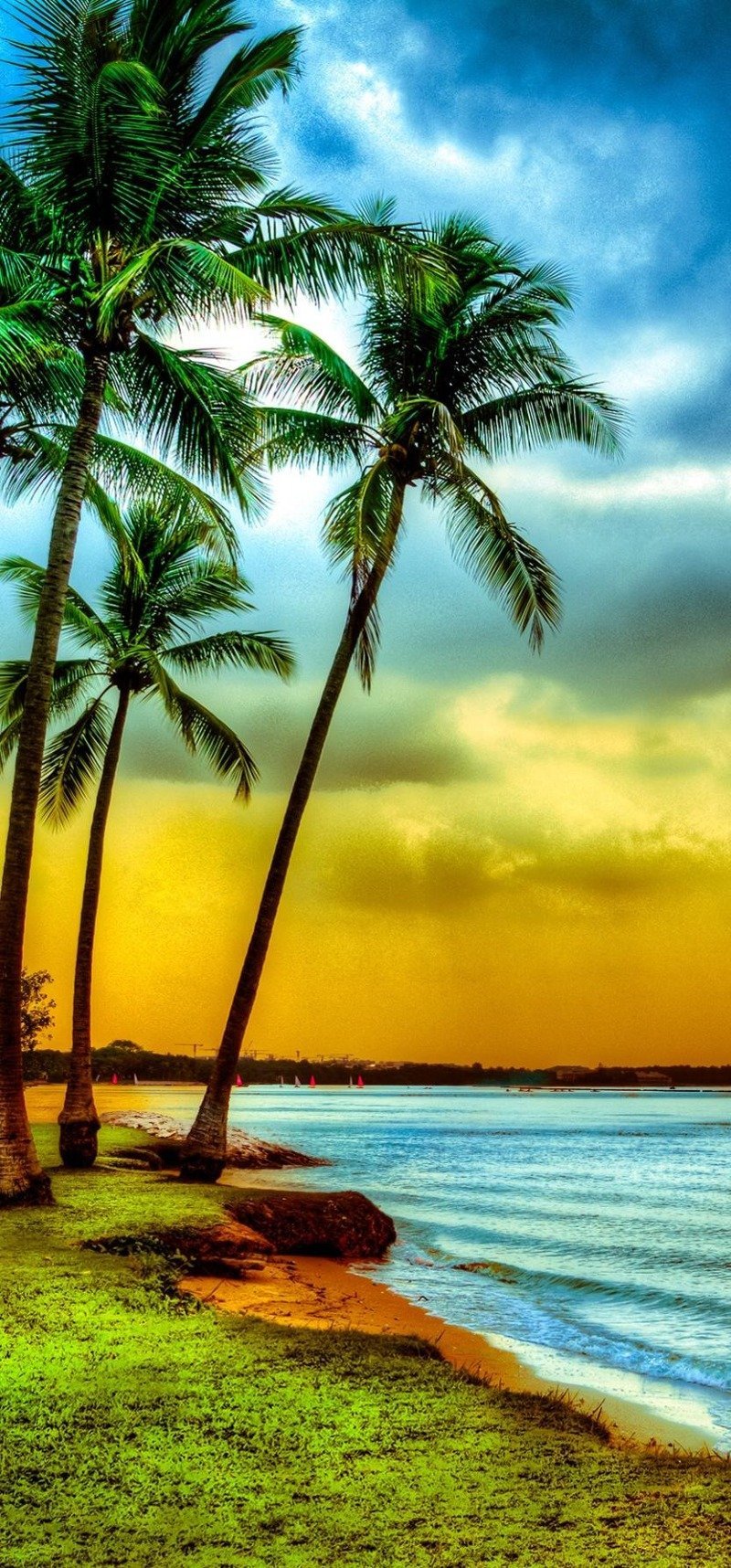 سديم القحطاني