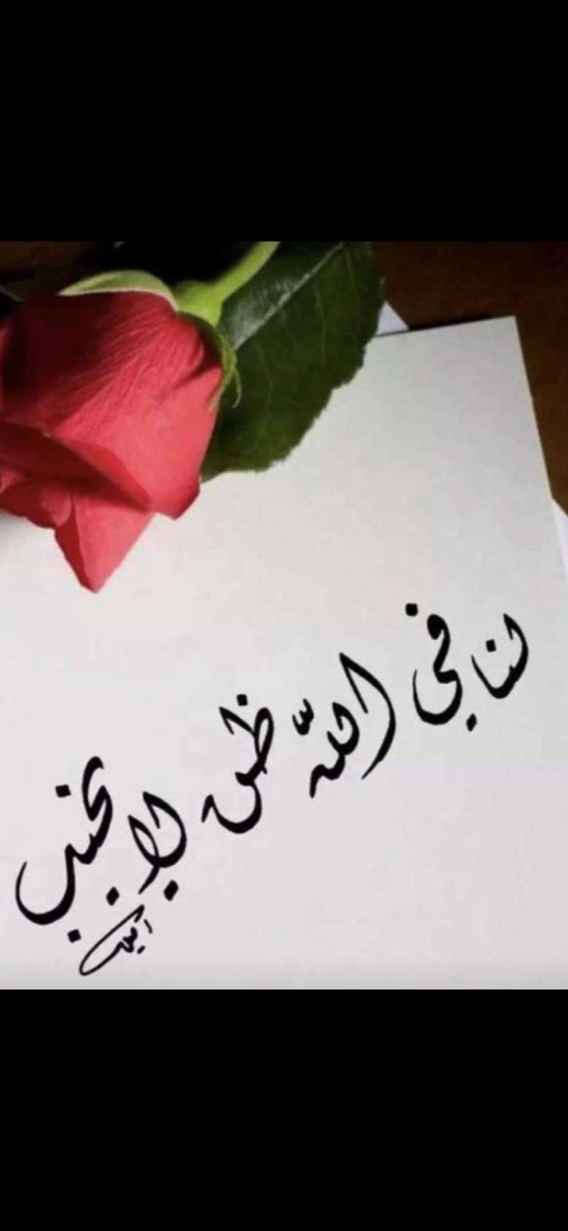 امل سليمان