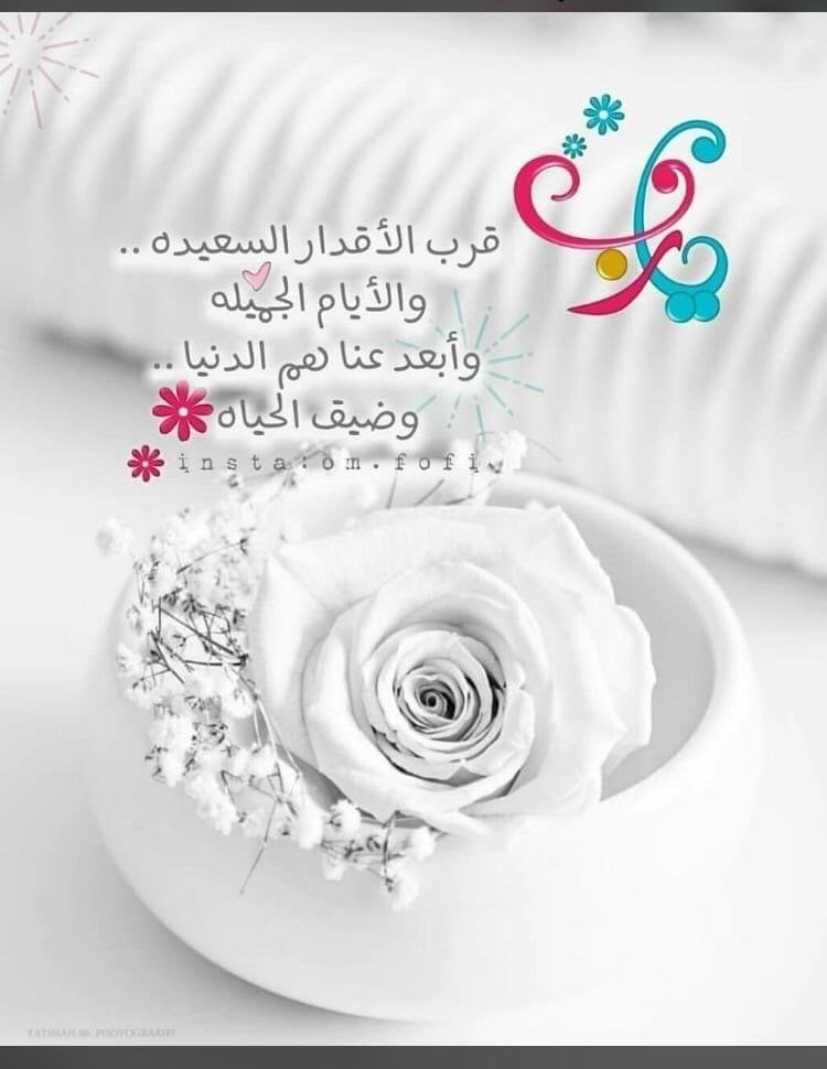 صفاء 