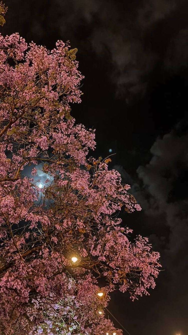 اثير الشمري