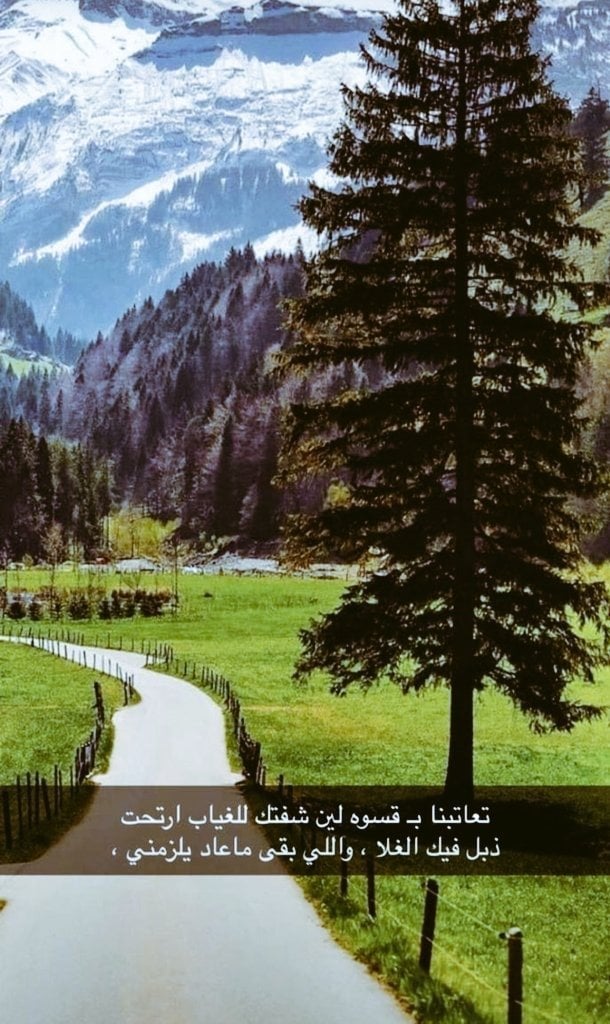 محمد الشهري