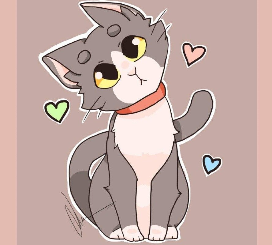 وجدان الشهري