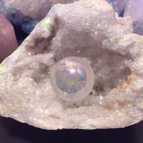 دانه الحربي