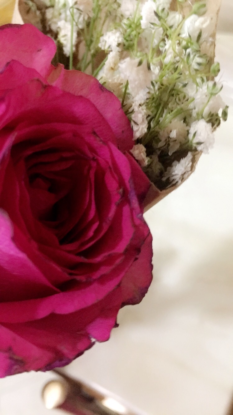 شهد المطيري