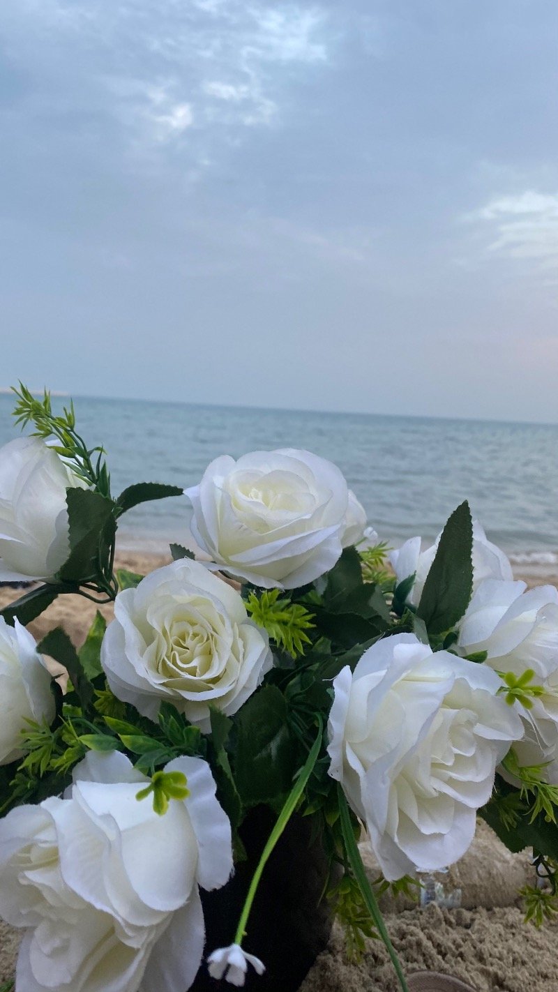 روان الحبابي