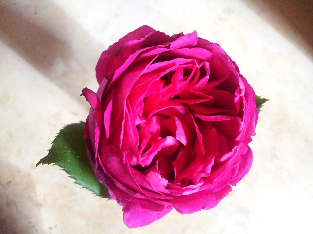 أميرة بنت خالد