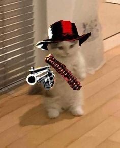 مشعل القحطاني