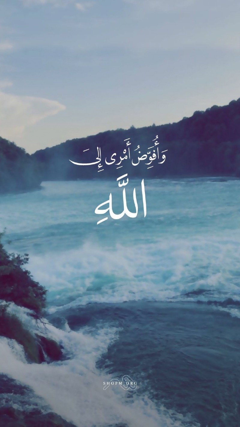 عبير المطيري