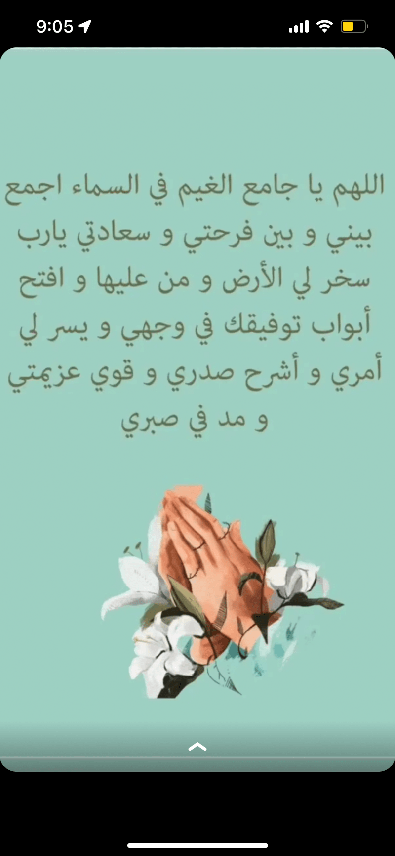 جيهان باويان