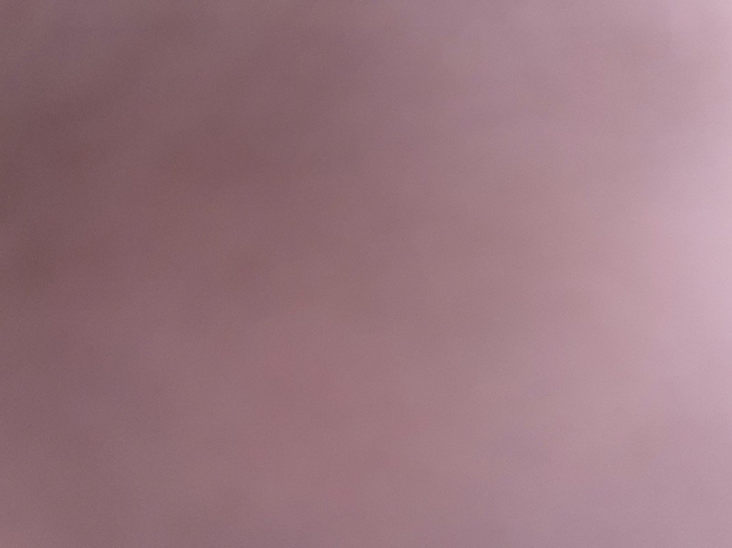 وجدان المالكي