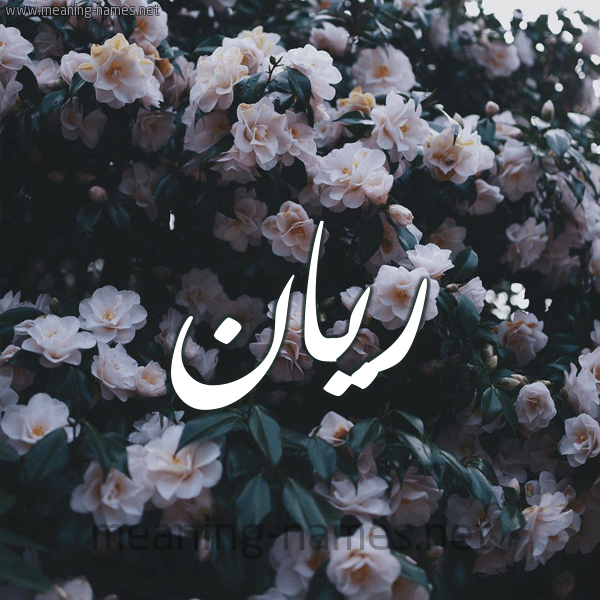 ريان المبخوت