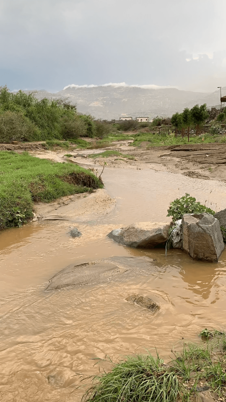 متعب العتيبي