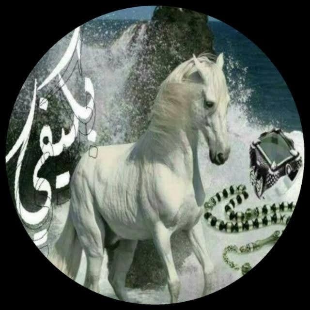 أبو عبدالرحمن