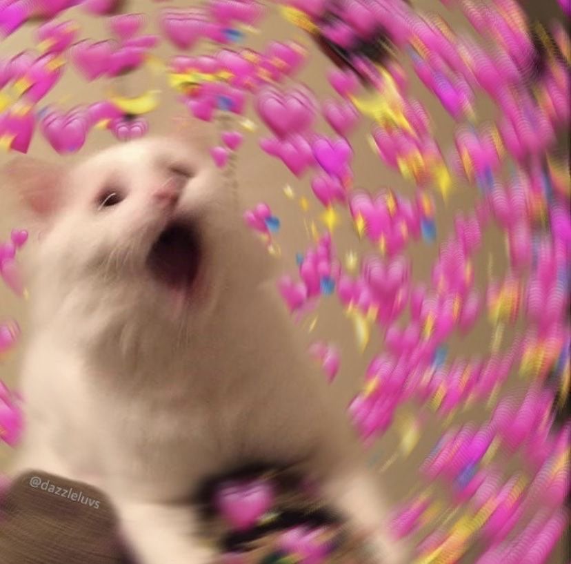 مريم الغامدي