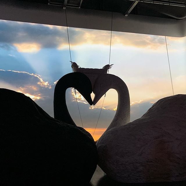 محمد العزيزي