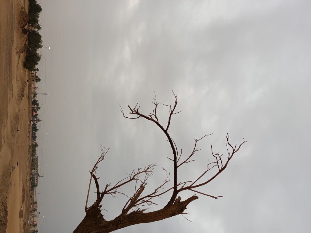 عبدالله الدوسري