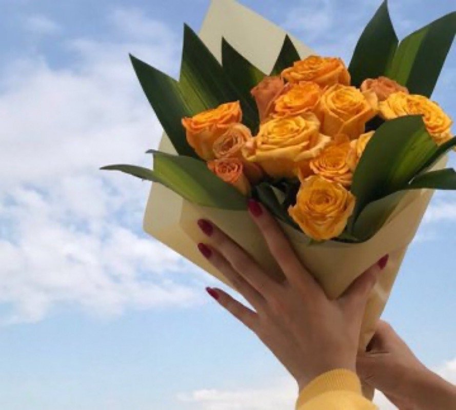 عايشة ابراهيم