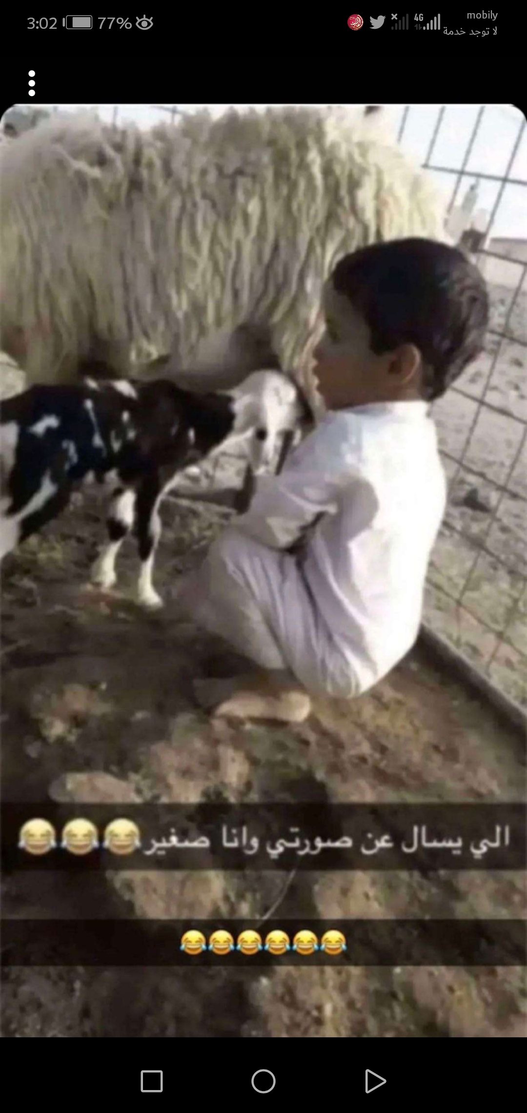 صبر السلمي