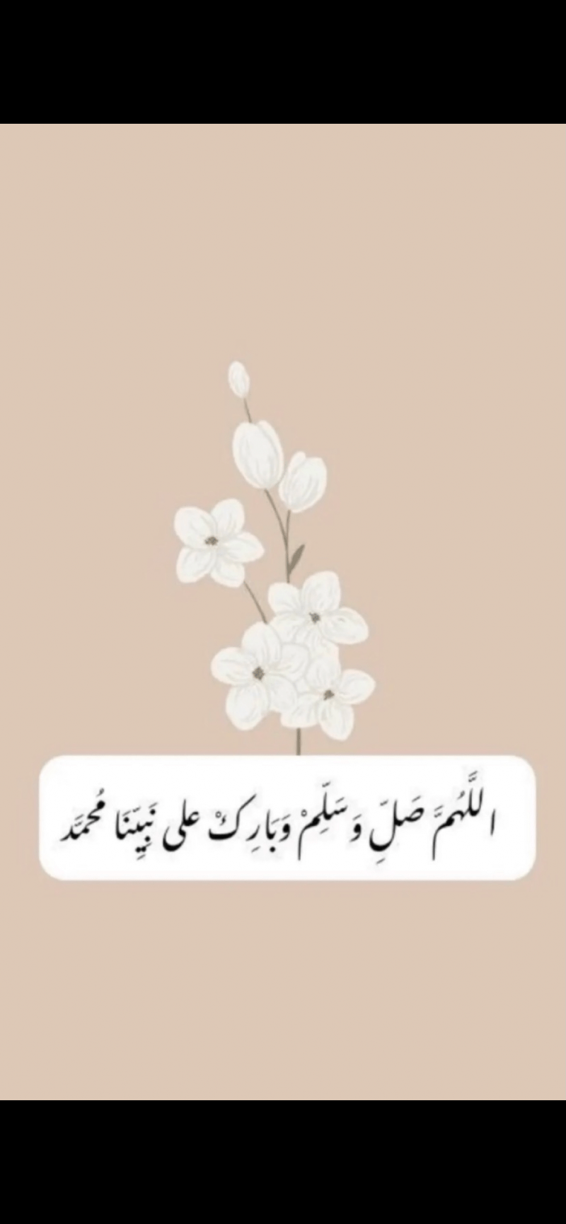 رهف عبدالله