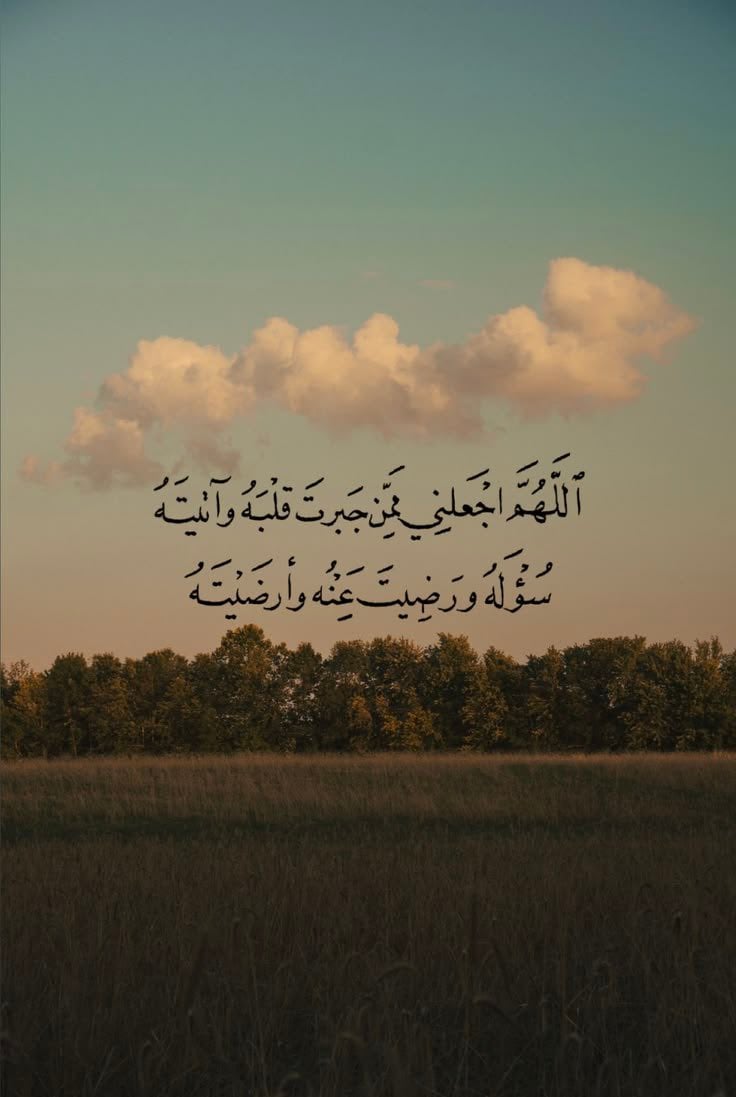 Seham Elfeky