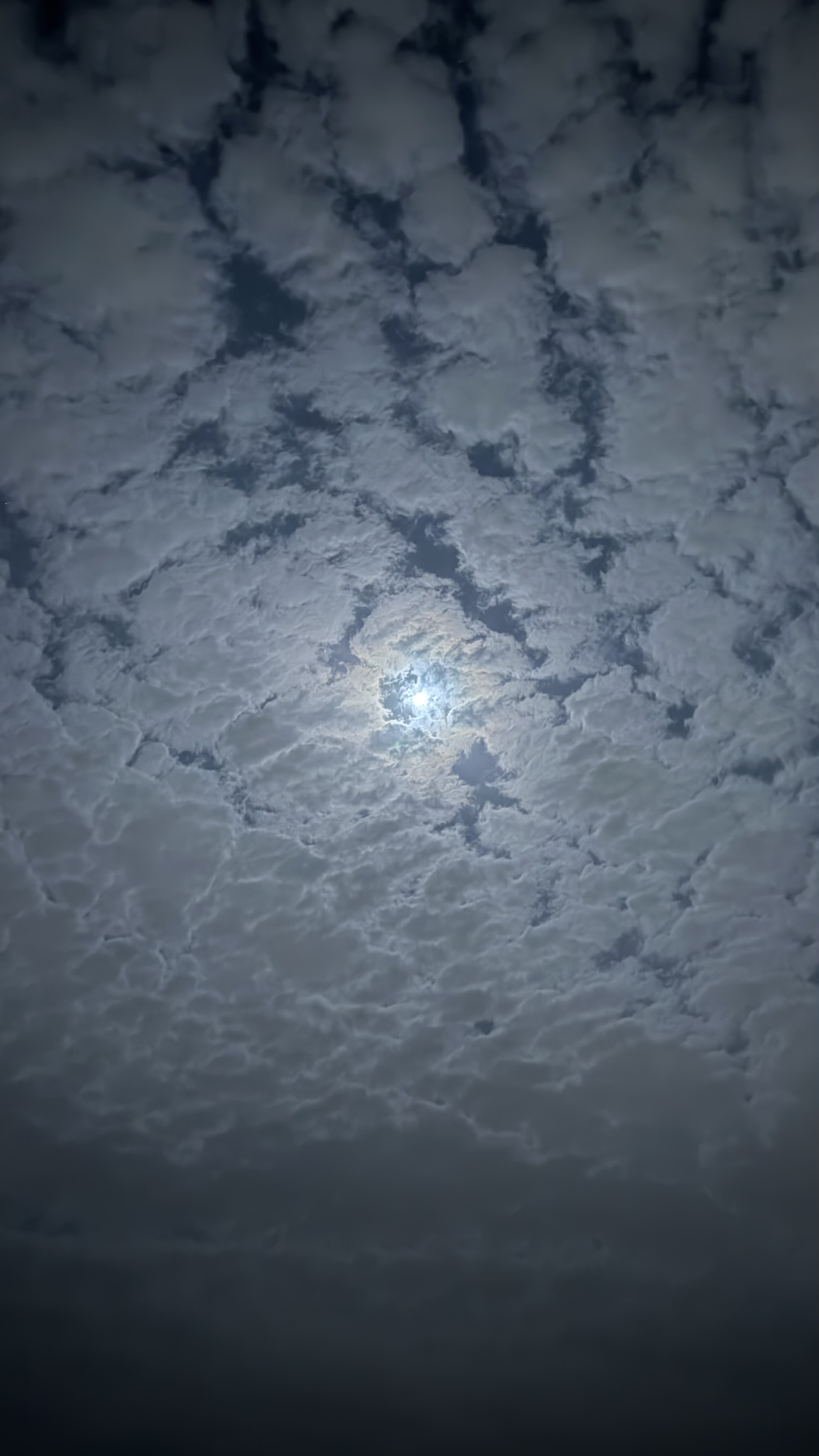 فيصل المحامض