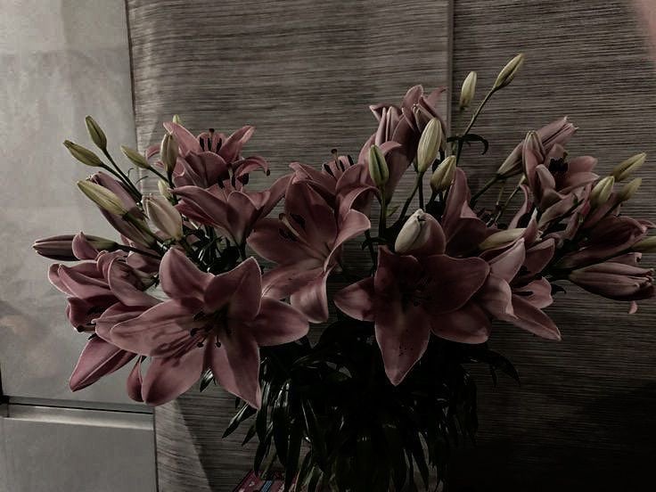 رهام الشهري