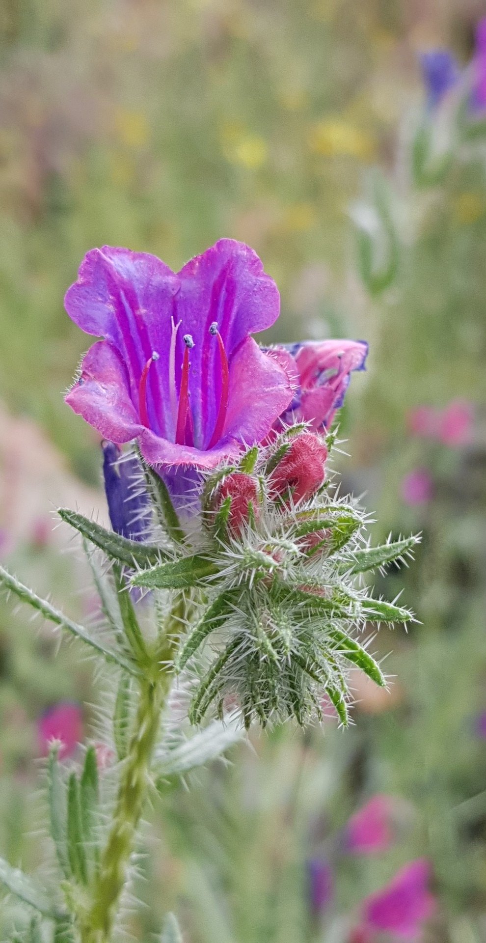 عبدالله حسن الأحمدي