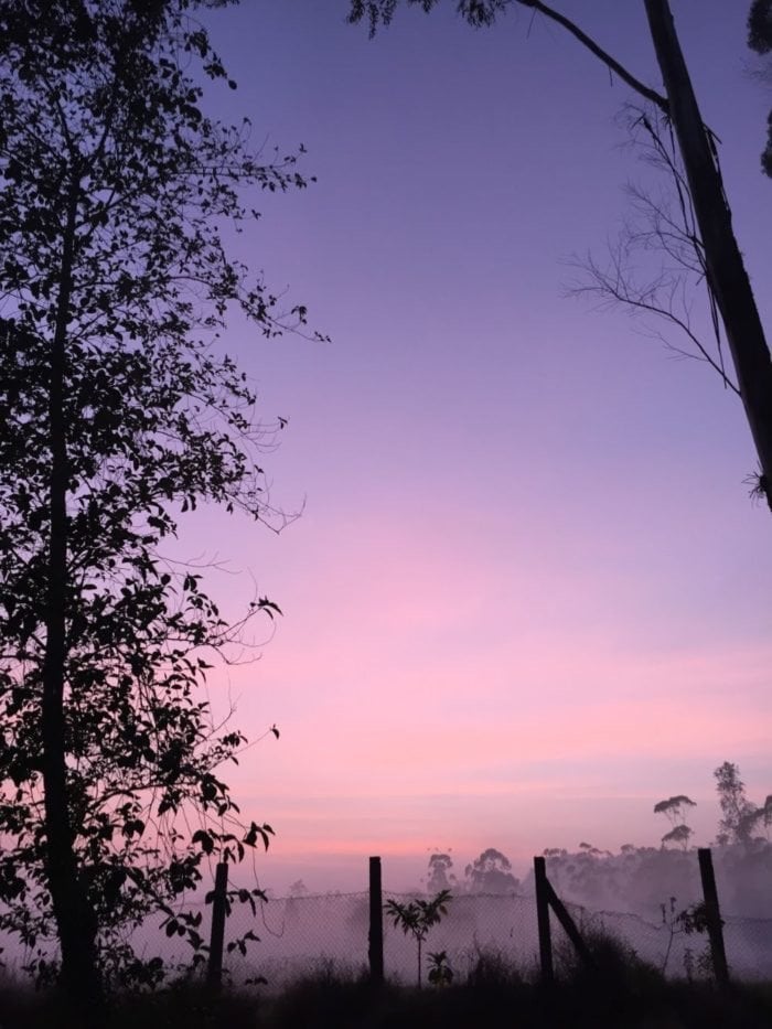 ياسر السلمان