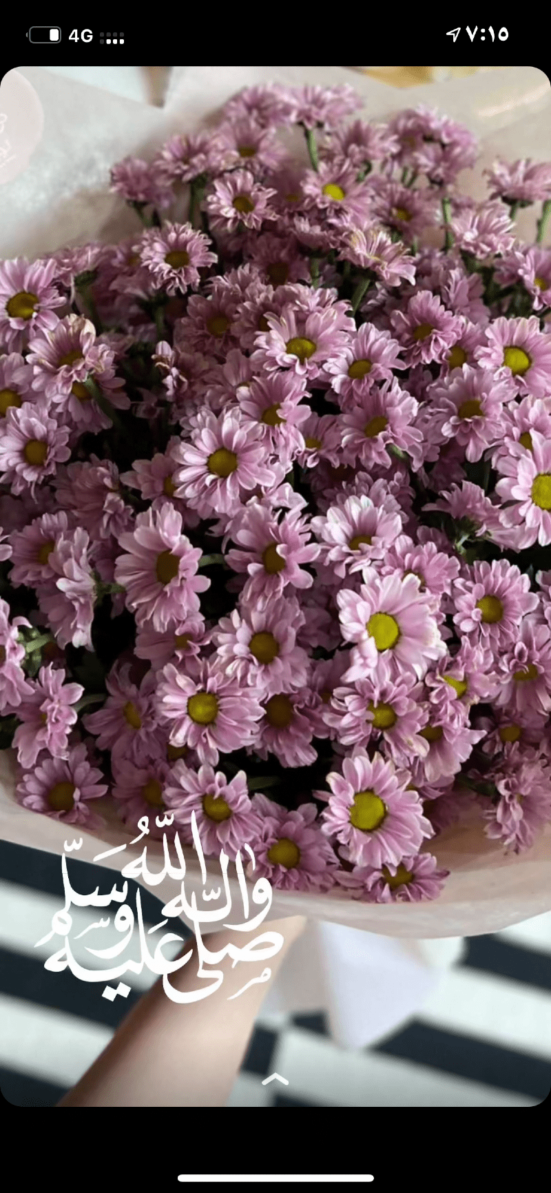 مريم السبيعي