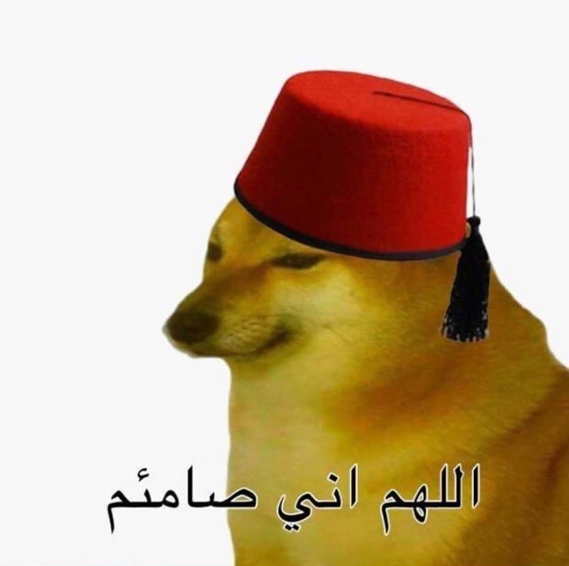 نواف 